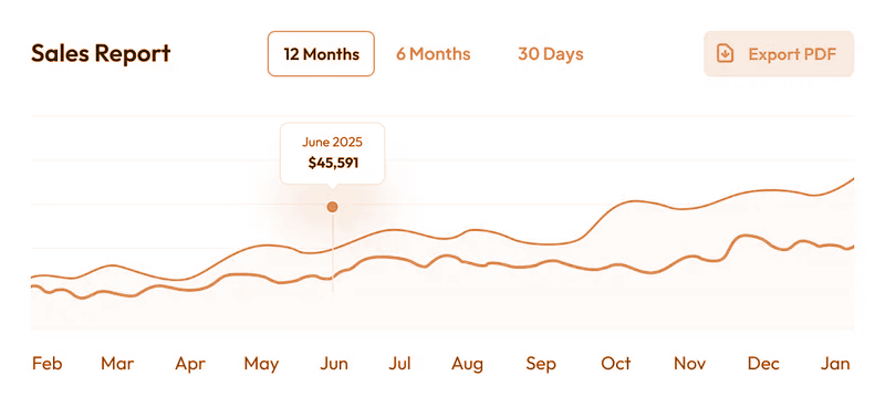 Sales report line chart showing monthly revenue trends