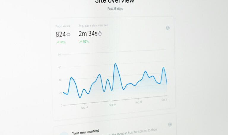 guaranteed local SEO performance graph on computer screen